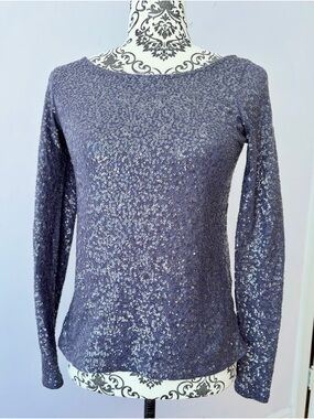 J. Crew Blue Sequin Long-Sleeve Top Fits XXS to XS